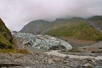 Fox Glacier